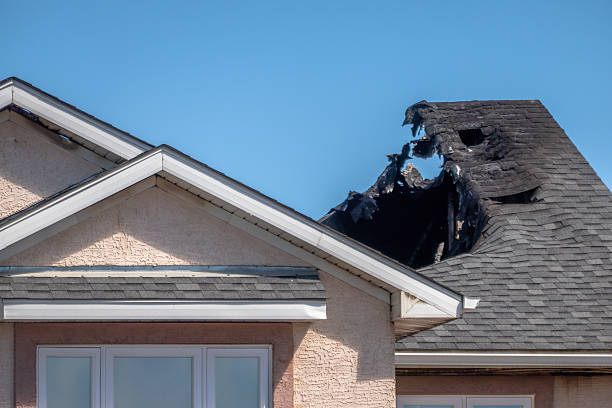 Top rated local Content Restoration specialists in Saint Paul Park, MN